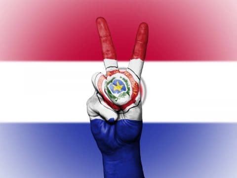 Who Thrives in Paraguay (and Who Doesn't)